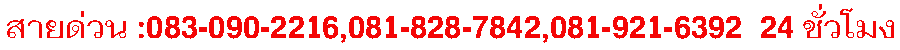 hotline3th